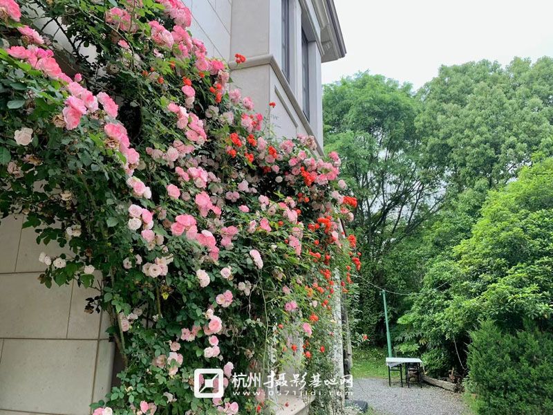 微信图片_20240515023902.jpg
