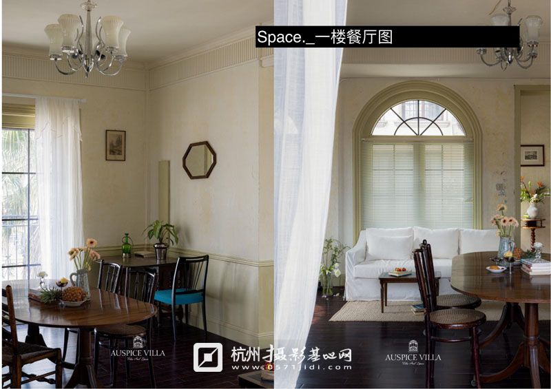 auspice简介 1234_21.jpg